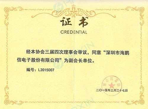 深圳市防雷協(xié)會(huì)-“副會(huì)長(zhǎng)單位”證書(shū).jpg